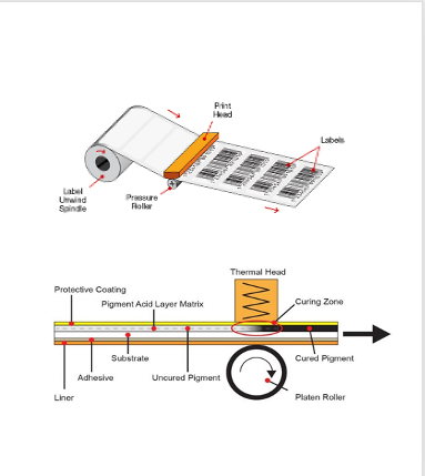 tete- mpression thermique detail